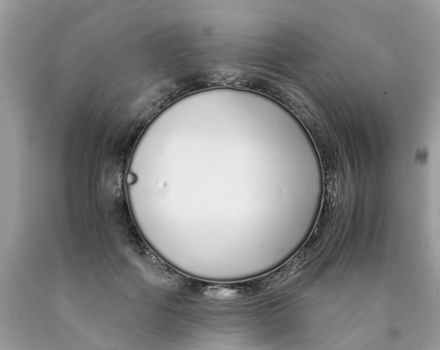 X0000089890602200707262231