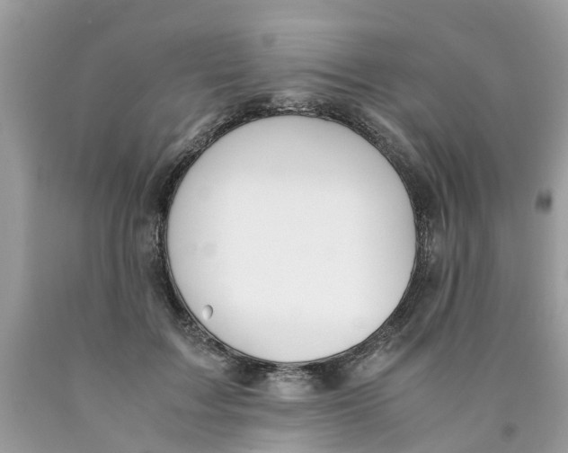 X0000089890603200707262231