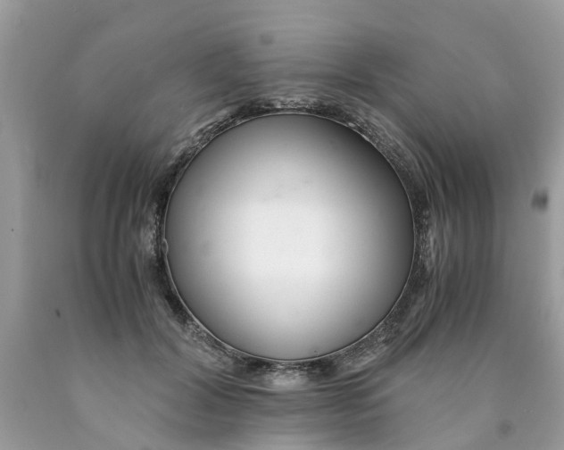 X0000089890604200707262231