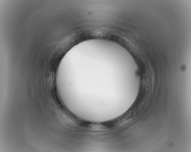 X0000089890605200707262231