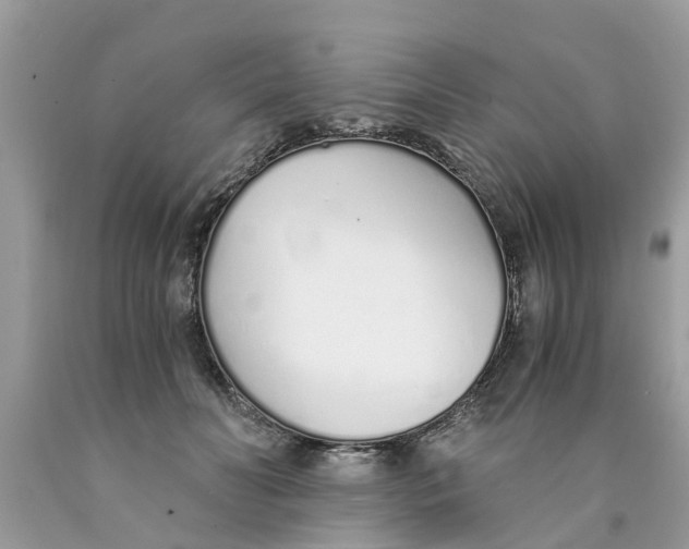 X0000089890606200707262231