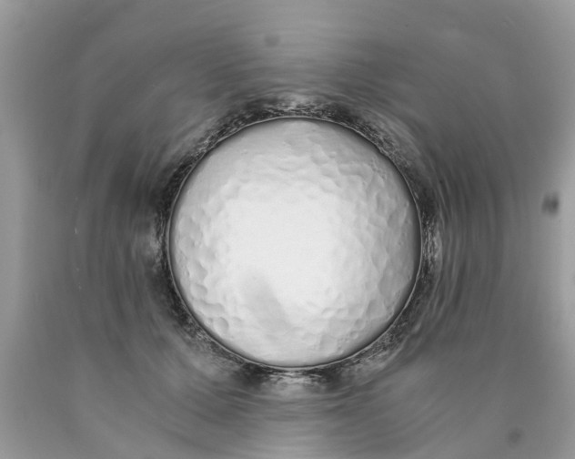 X0000089890607200707262231