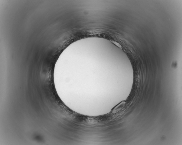 X0000089890608200707262231