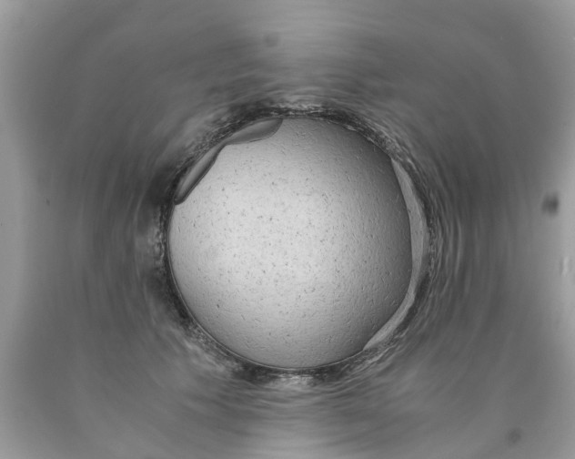 X0000089890609200707262231