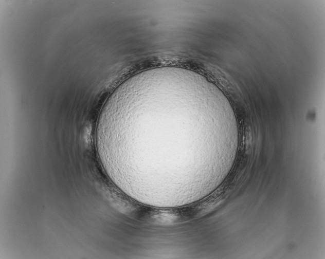 X0000089890610200707262231