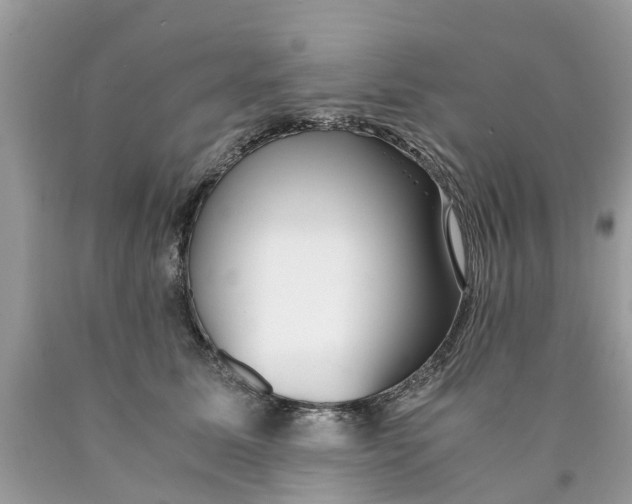 X0000089890611200707262231