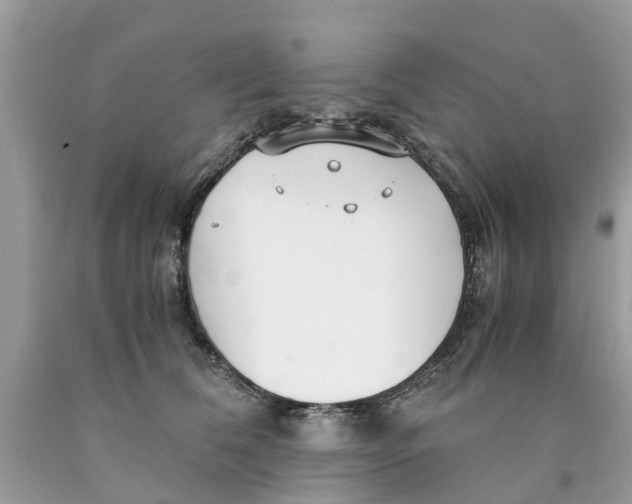 X0000089890612200707262231