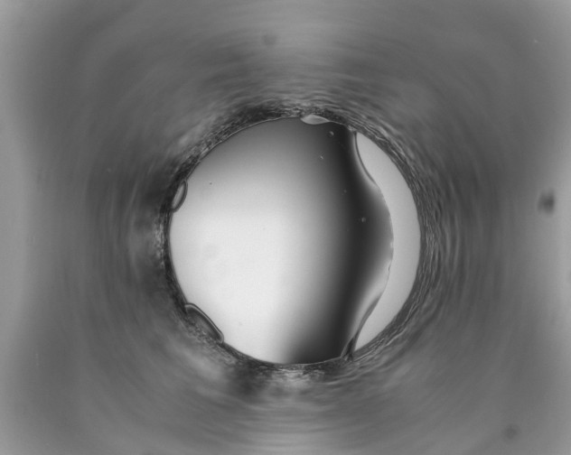 X0000089890613200707262231