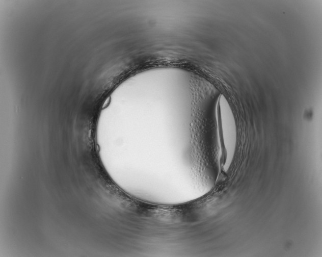 X0000089890615200707262231