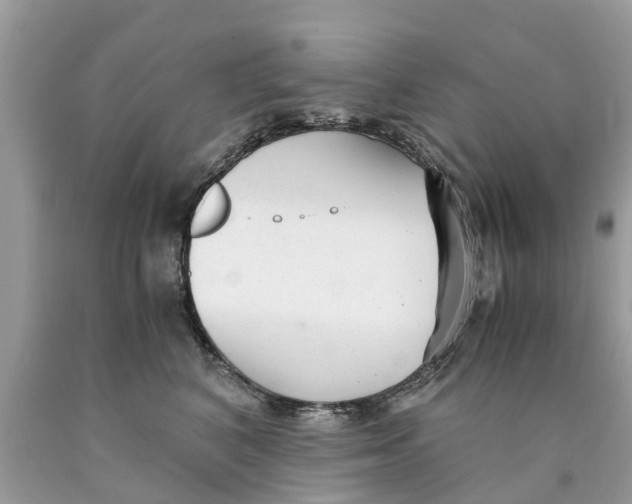X0000089890616200707262231