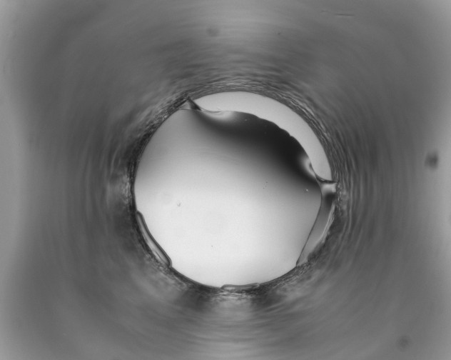 X0000089890617200707262231