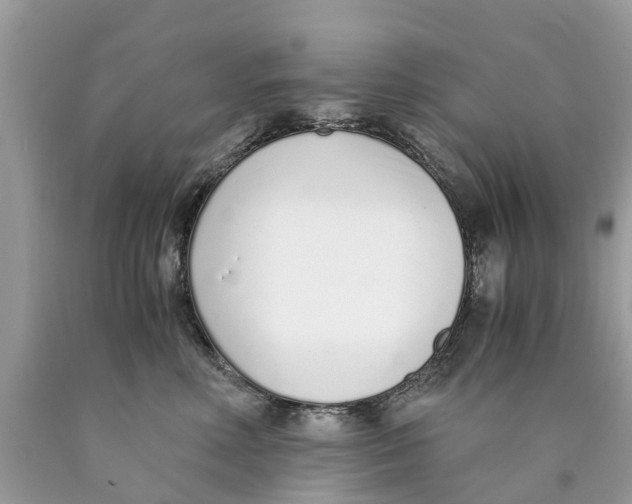 X0000089890618200707262231