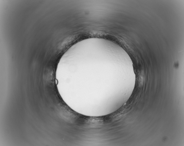 X0000089890619200707262231