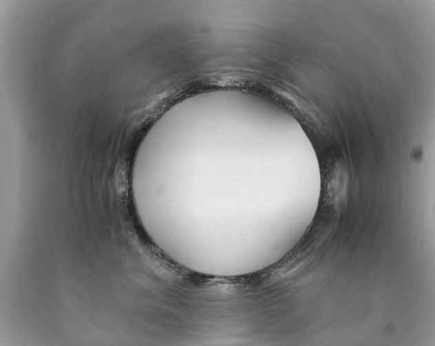 X0000089890620200707262231