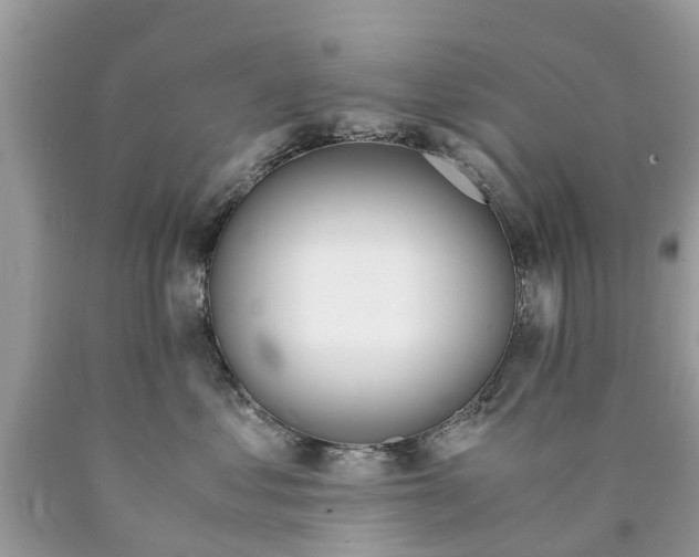 X0000089890621200707262231
