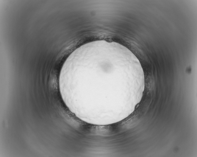 X0000089890622200707262231