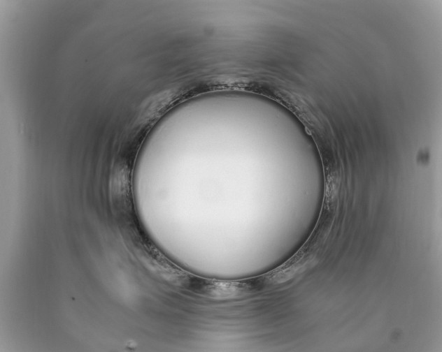 X0000089890623200707262231