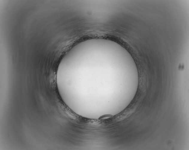 X0000089890624200707262231