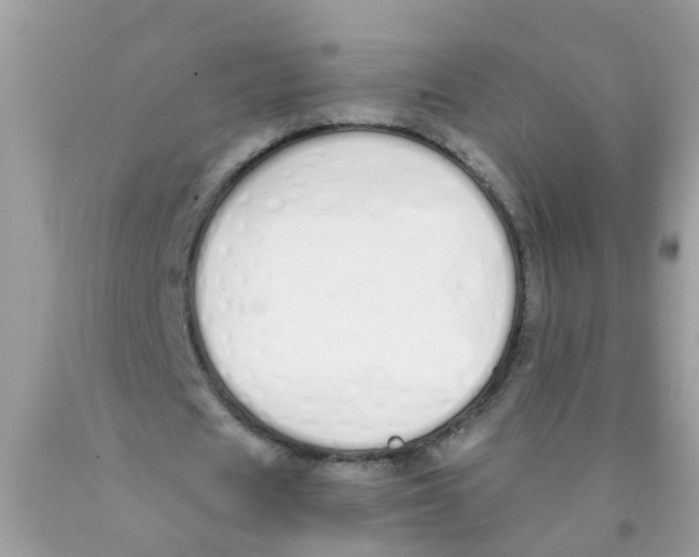 X0000089890625200707262230