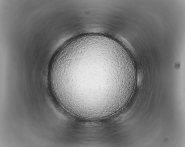 X0000089890627200707262230
