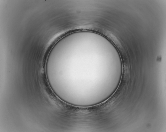 X0000089890628200707262230