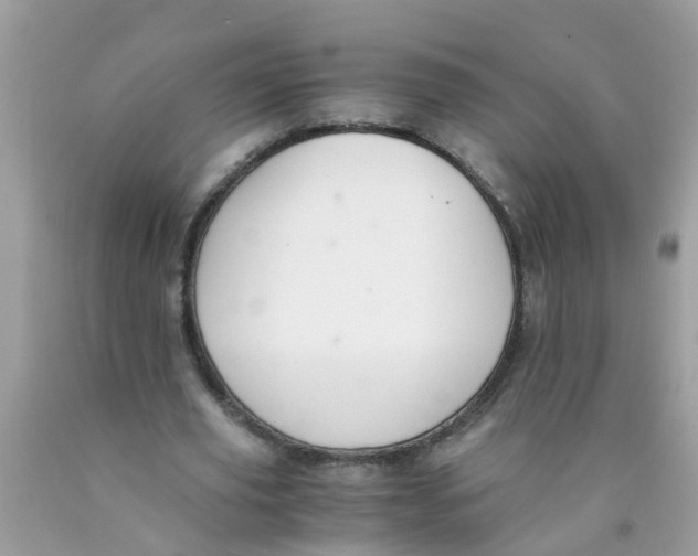 X0000089890629200707262230