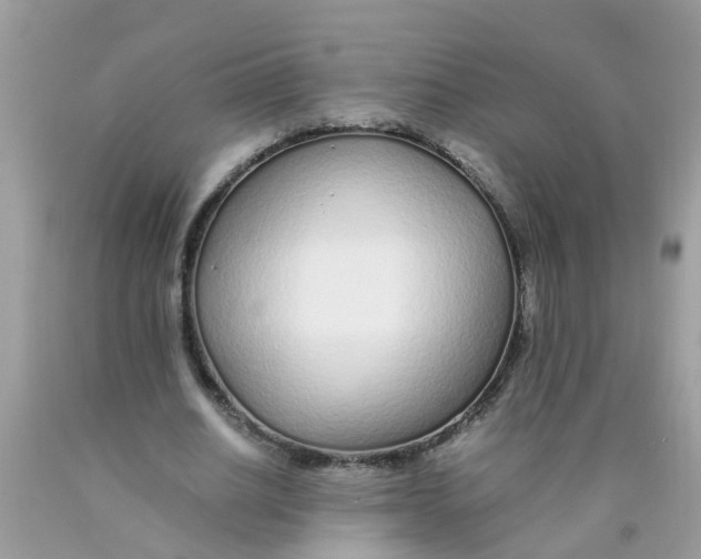 X0000089890630200707262230