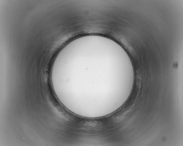 X0000089890631200707262230