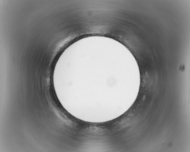 X0000089890632200707262230