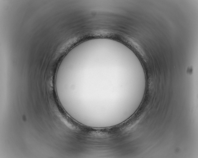X0000089890633200707262230