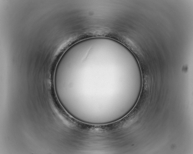 X0000089890634200707262230