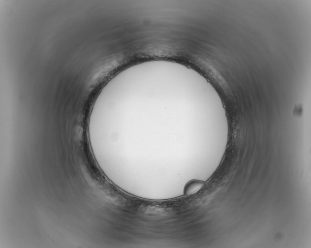 X0000089890635200707262230
