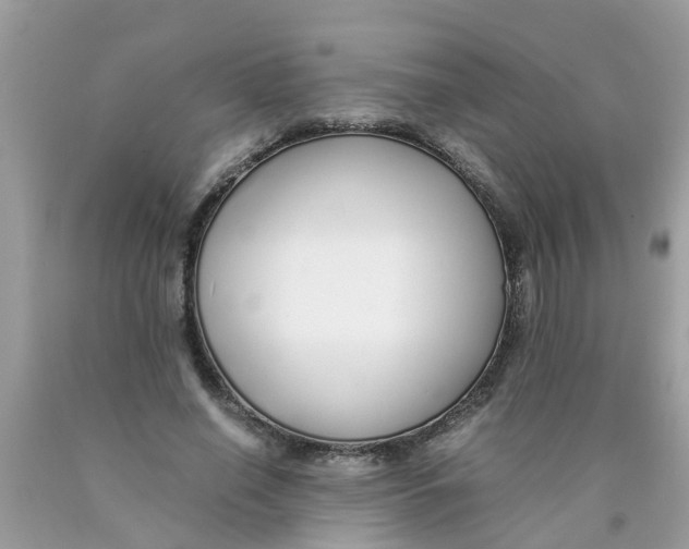 X0000089890638200707262230