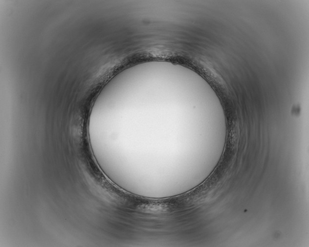 X0000089890639200707262230