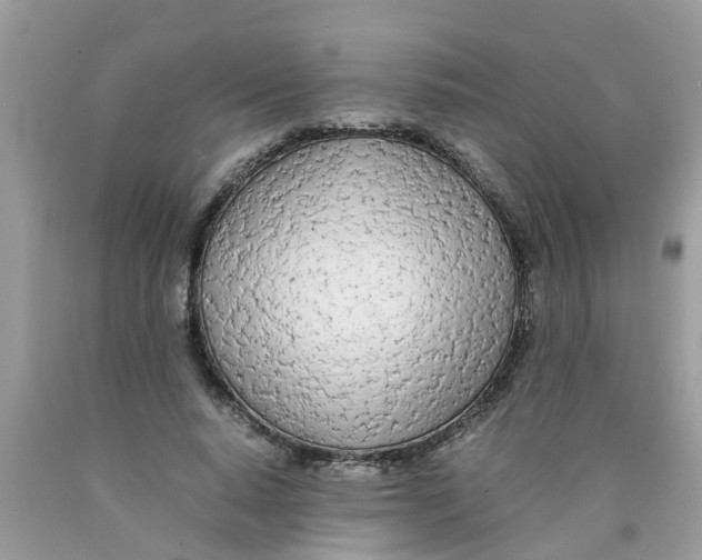 X0000089890640200707262231