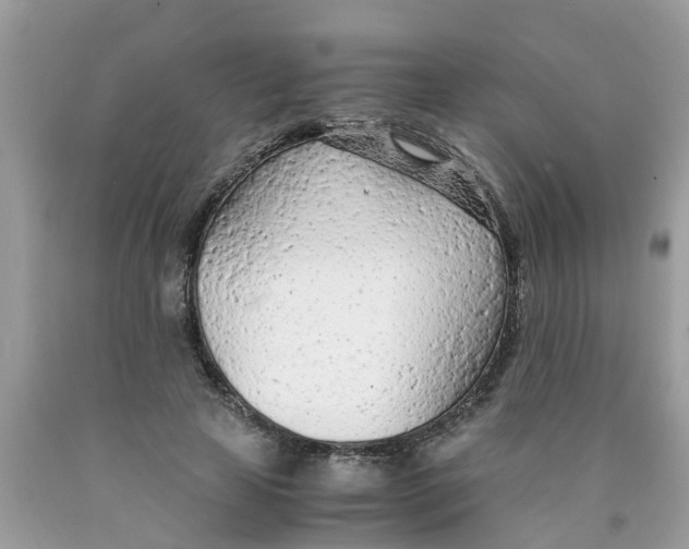 X0000089890641200707262231