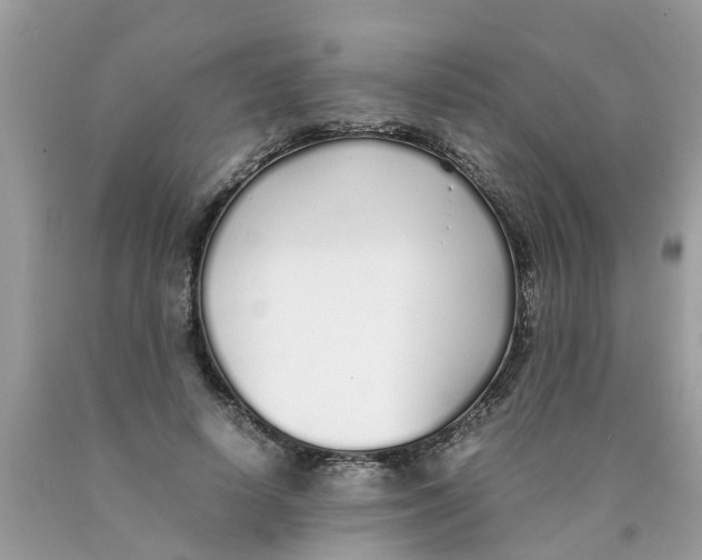 X0000089890642200707262231