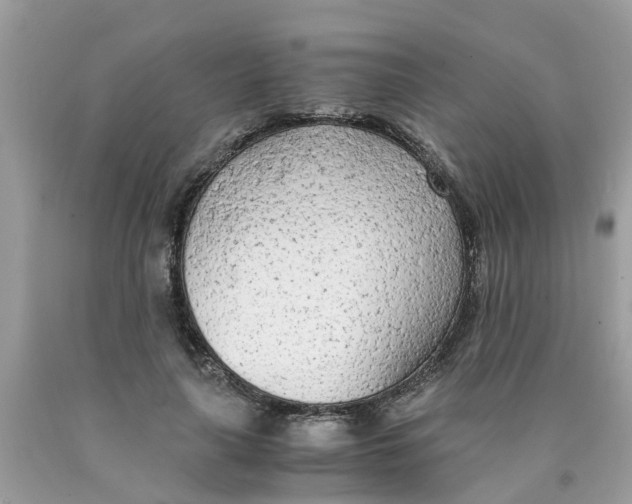 X0000089890643200707262231