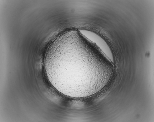 X0000089890644200707262231