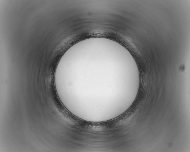 X0000089890645200707262231