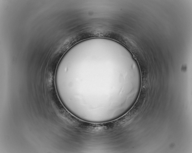X0000089890646200707262231