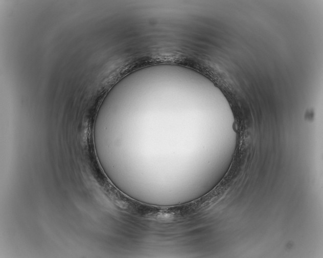 X0000089890647200707262231