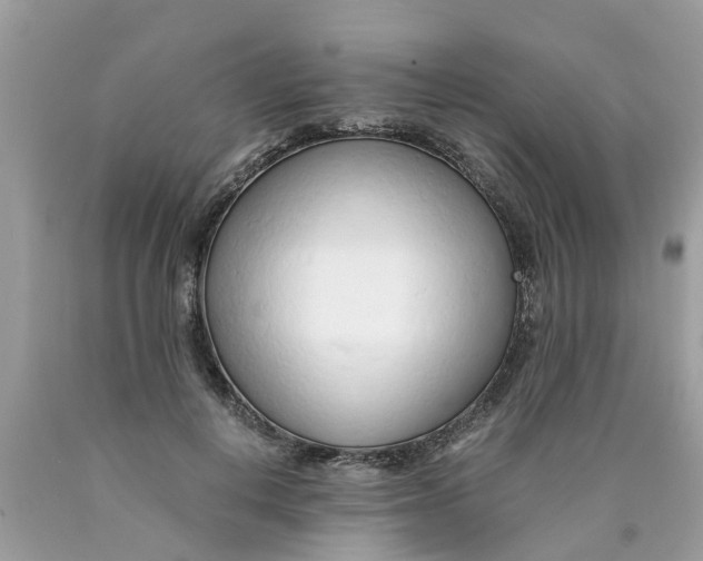 X0000089890648200707262231