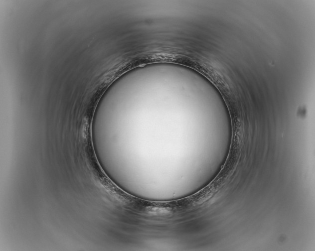 X0000089890649200707262231