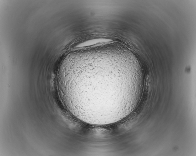 X0000089890650200707262231