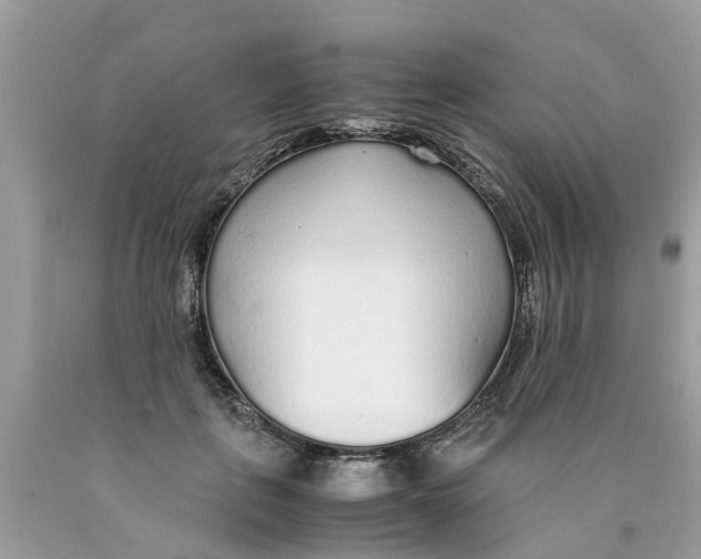 X0000089890651200707262231