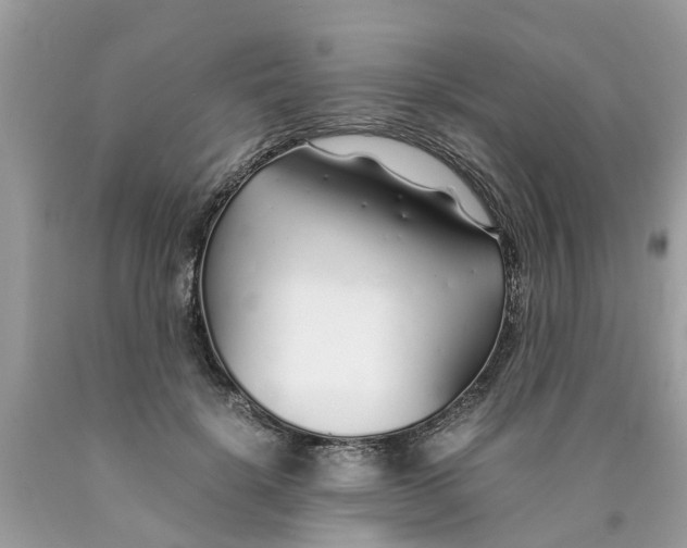 X0000089890652200707262231