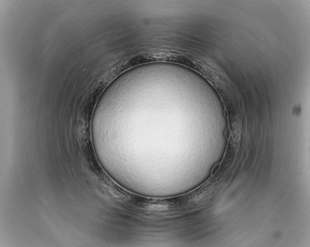 X0000089890653200707262231