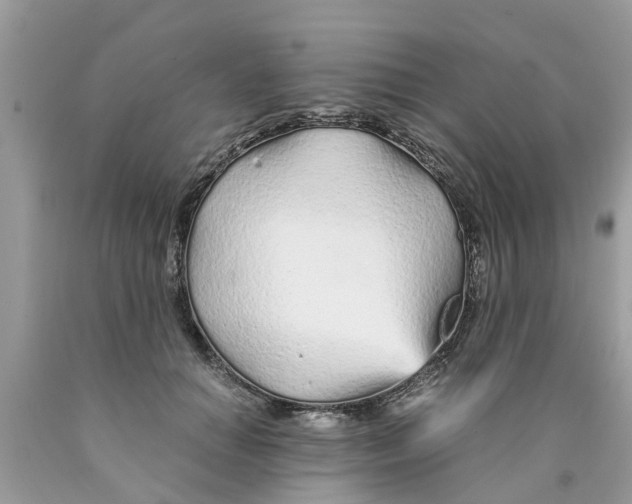 X0000089890654200707262231