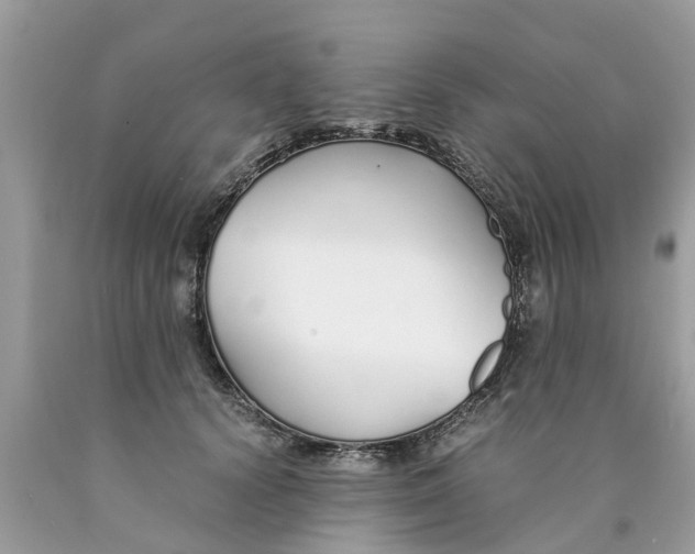 X0000089890656200707262231